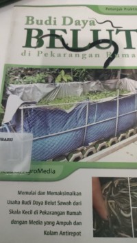 Image of budidaya belut di pekarangan rumah